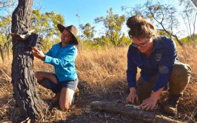 Australian Wildlife Conservancy