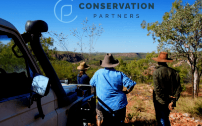 Conservation Partners